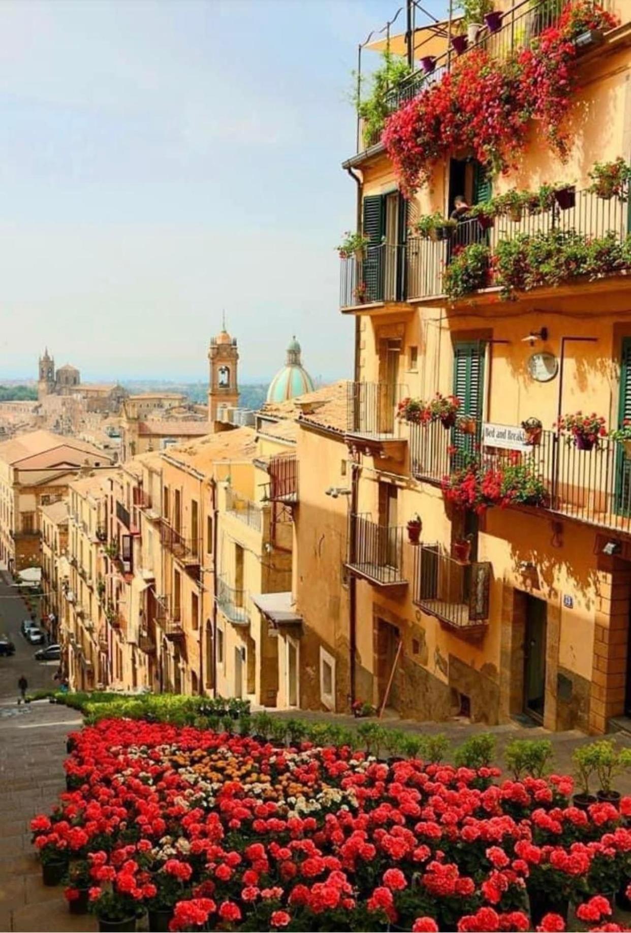 Casa Tipica Siciliana Patronale Home Bedandbreakfast Tremetrisoprailcielo Camere Con Vista, Colazione Interna In Terrazzo Panoramico Caltagirone Zewnętrze zdjęcie