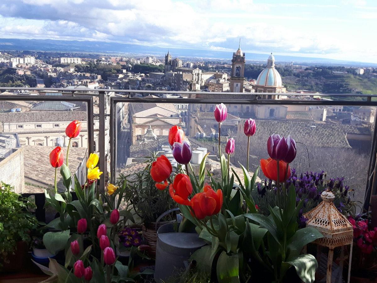 Casa Tipica Siciliana Patronale Home Bedandbreakfast Tremetrisoprailcielo Camere Con Vista, Colazione Interna In Terrazzo Panoramico Caltagirone Zewnętrze zdjęcie