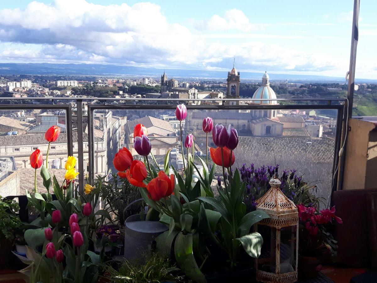 Casa Tipica Siciliana Patronale Home Bedandbreakfast Tremetrisoprailcielo Camere Con Vista, Colazione Interna In Terrazzo Panoramico Caltagirone Zewnętrze zdjęcie